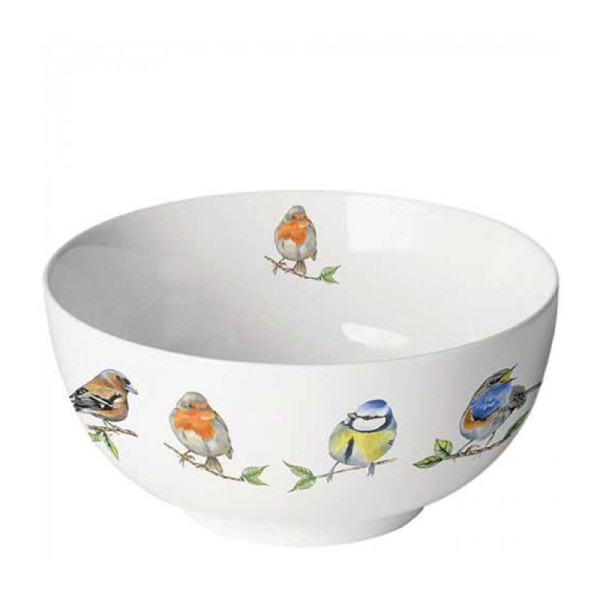 Ambiente Kom Bird species white