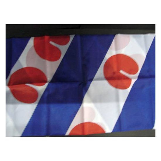 Vlag Friesland 30 x 45 cm