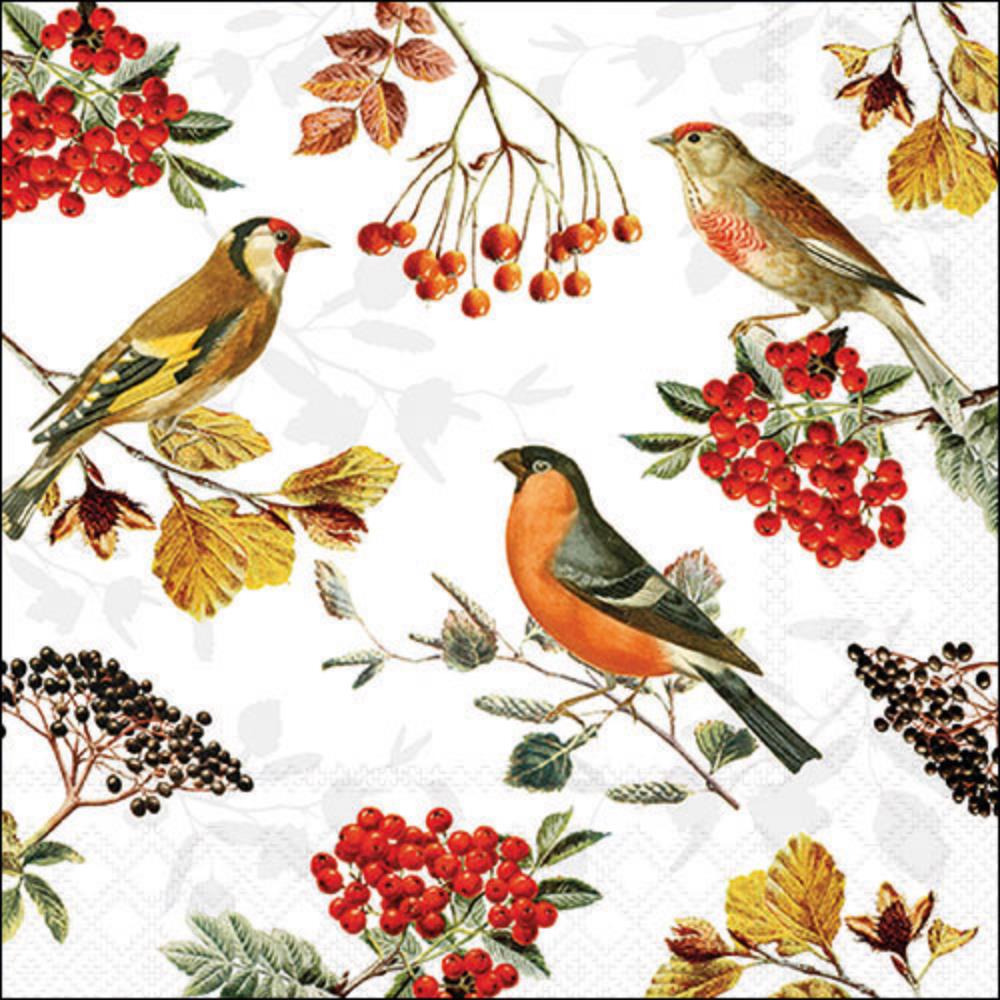 Ambiente Servetten 33cm Autumn Birds FSC Mix