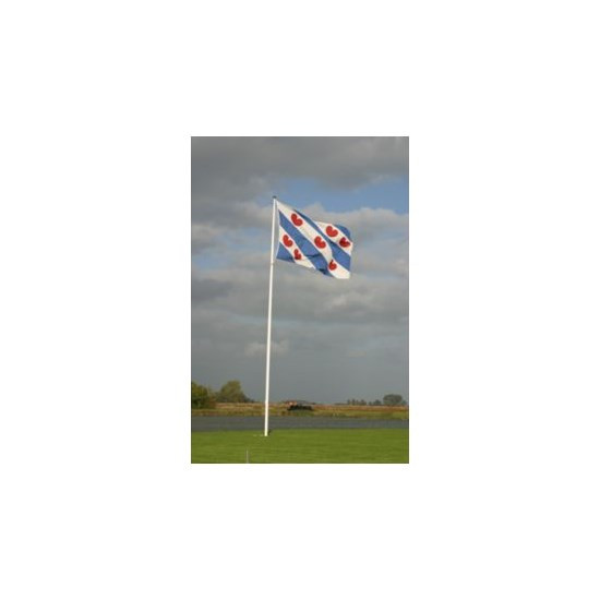 Vlag Friesland 20x30 cm