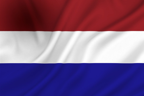 Vlag Nederland 40x60 cm spun-poly