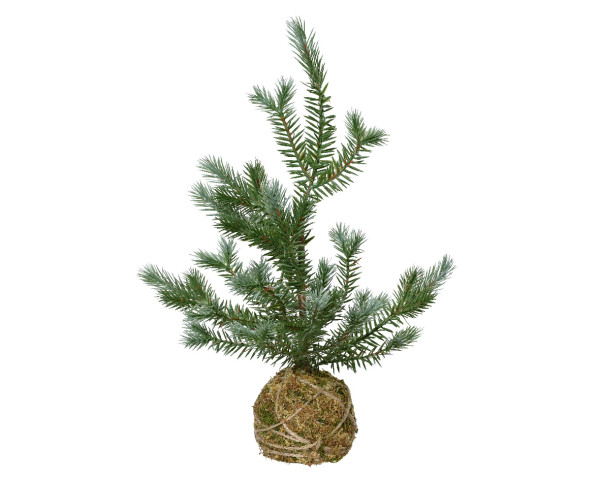 Kerstboom op mosbol H42cm