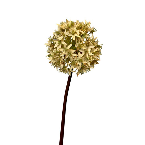 Kunstbloem Allium bol 60cm creme