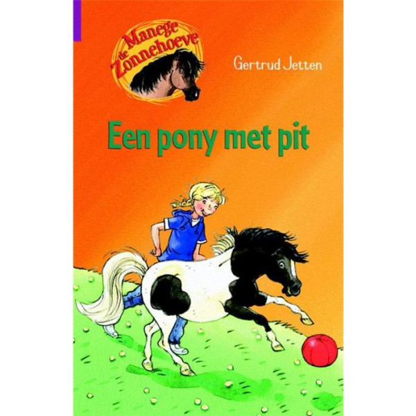 Kluitman Manege de Zonnehoeve Een pony