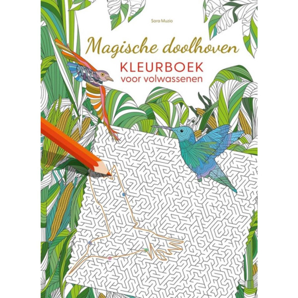 Magische doolhoven kleurboek volwassenen