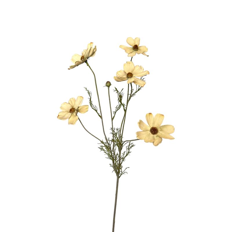 Roberts Collection Kunstbloem Cosmos Cosmea Tak 80cm Creme