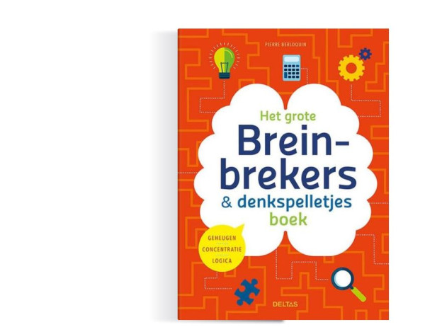 Breinbrekers en denkspelletjes boek