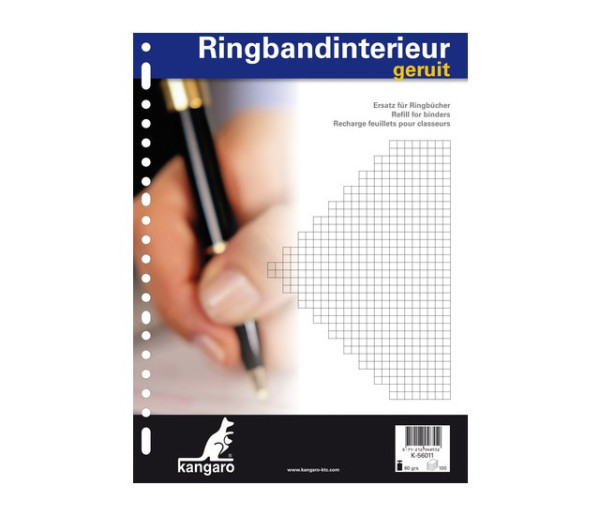 Ringbandinterieur A4 23R ruit 5mm 100ve