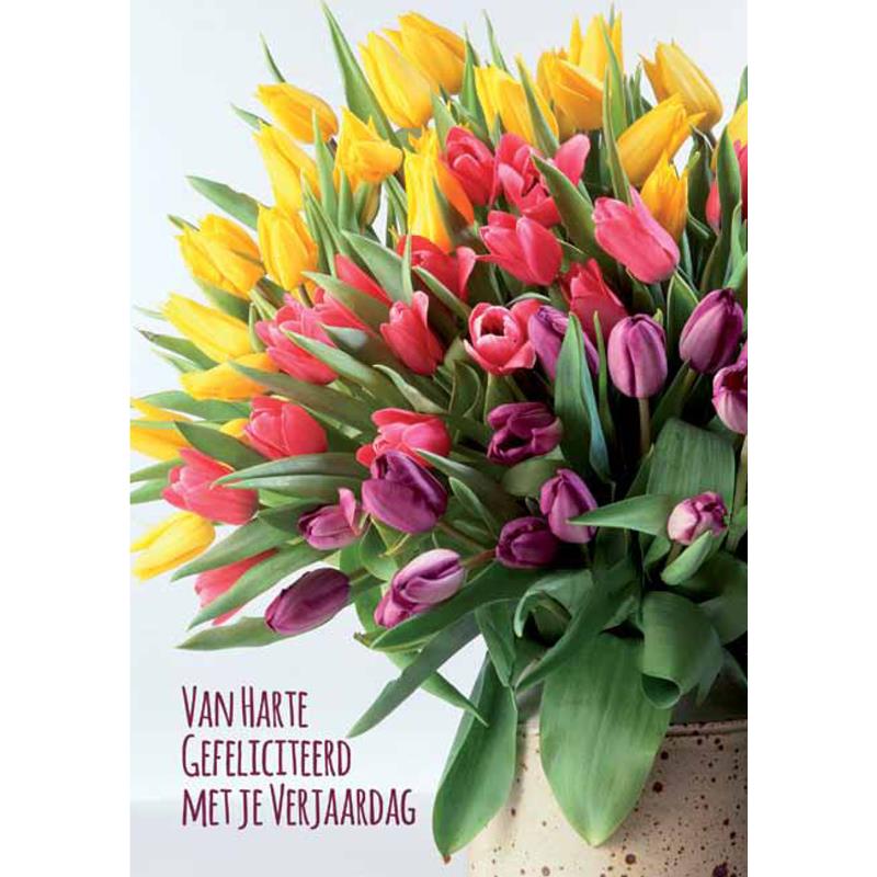 Wenskaarten Hartelijk Gefeliciteerd Bloem Pakje A 10 Stuks Met Envelop