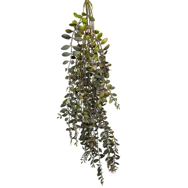 Kunst Hangplant Dischidia bordeaux 100cm