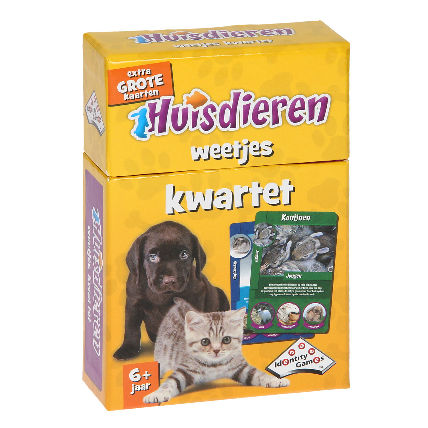 Huisdieren Weetjes Kwartet