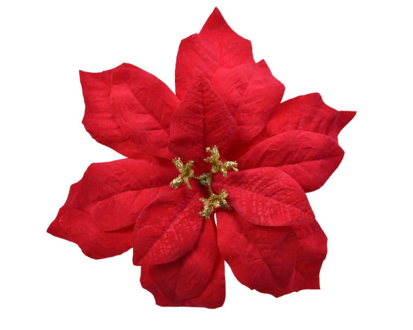 Bloem op clip Poinsettia dia.16cm