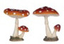 Beeld Paddenstoelen h10cm