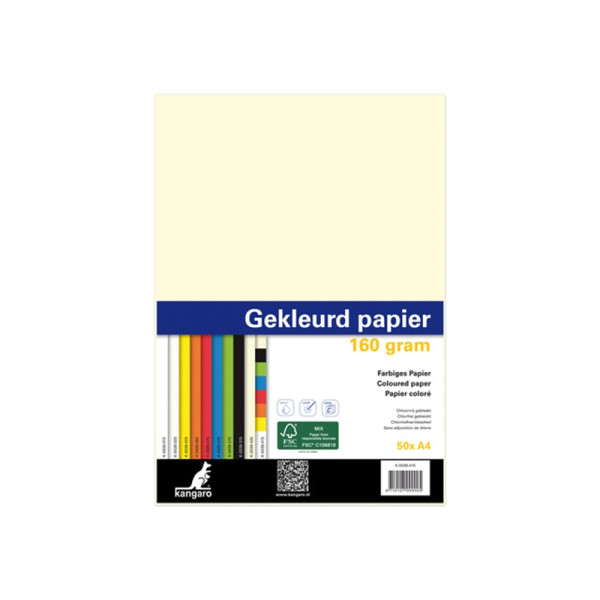 Kopieerpapier A4 160gr 50vel assorti