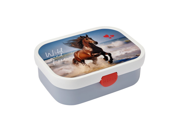 Mepal lunchbox campus - wild horse