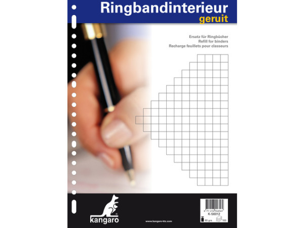 Ringbandinterieur 23r ruit 10mm 100 vel