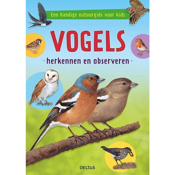 Deltas Vogels herkennen en observeren